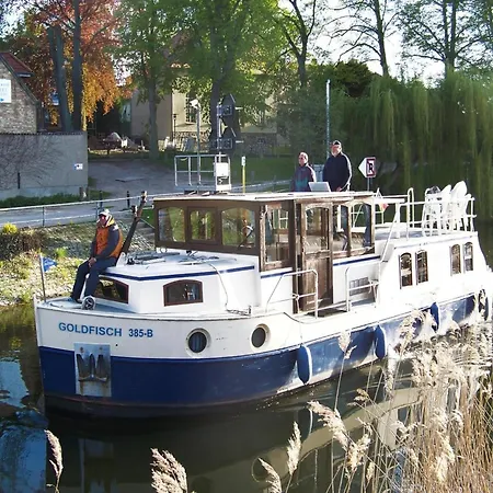 Kiebitz, Plau Am Plau am See