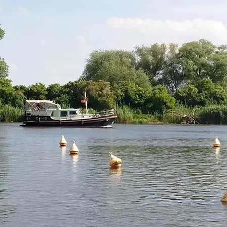 Kiebitz, Plau Am * Plau am See