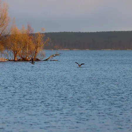 Kiebitz, Plau Am * Plau am See